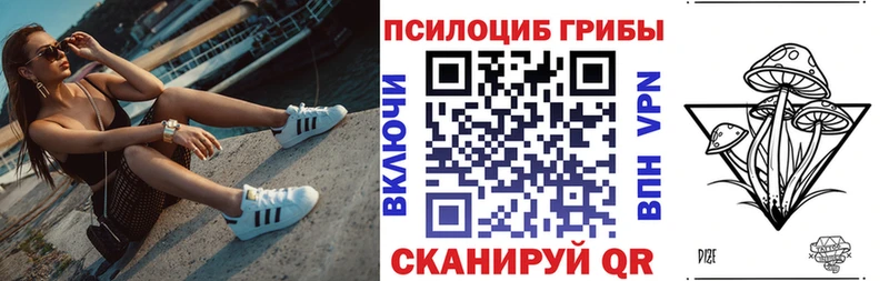 купить  цена  Тутаев  Галлюциногенные грибы GOLDEN TEACHER 
